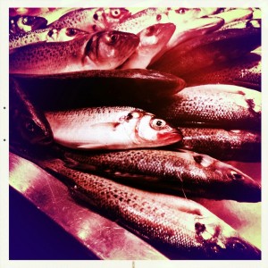 Toulouse - Markets