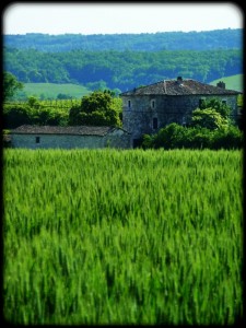 La Vele Villa 