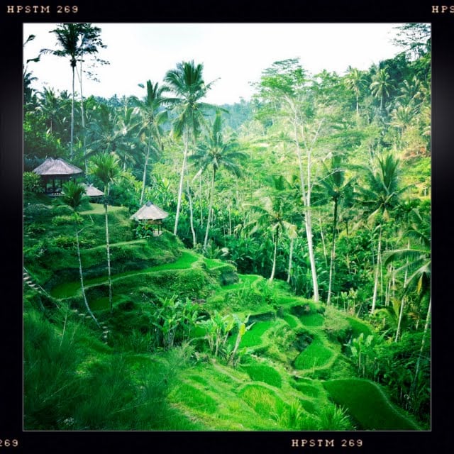 Bali Sight Seeing and a day in Ubud
