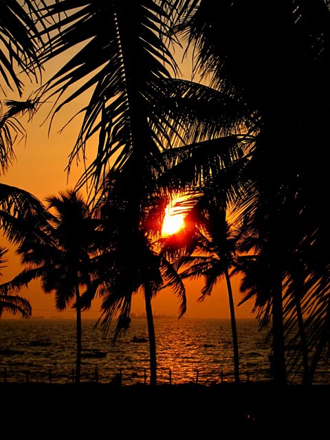 Goa Eating and After Dark