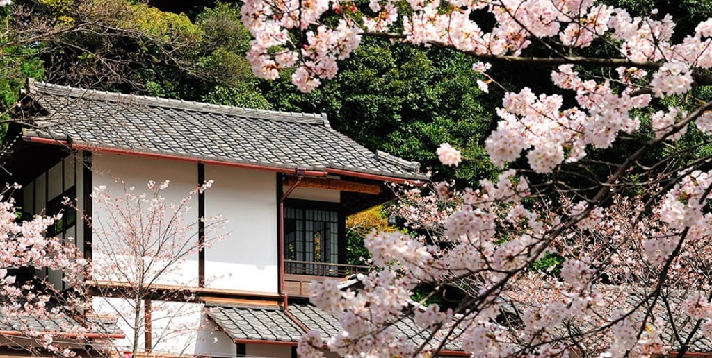 Japan, Tokyo Sleeping