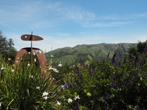 luxury boutique hotels Big Sur Lady Trekking Post Ranch Inn