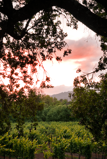 Sonoma - Lady Trekking California Road Trip