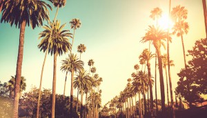 los_angeles California style traveller