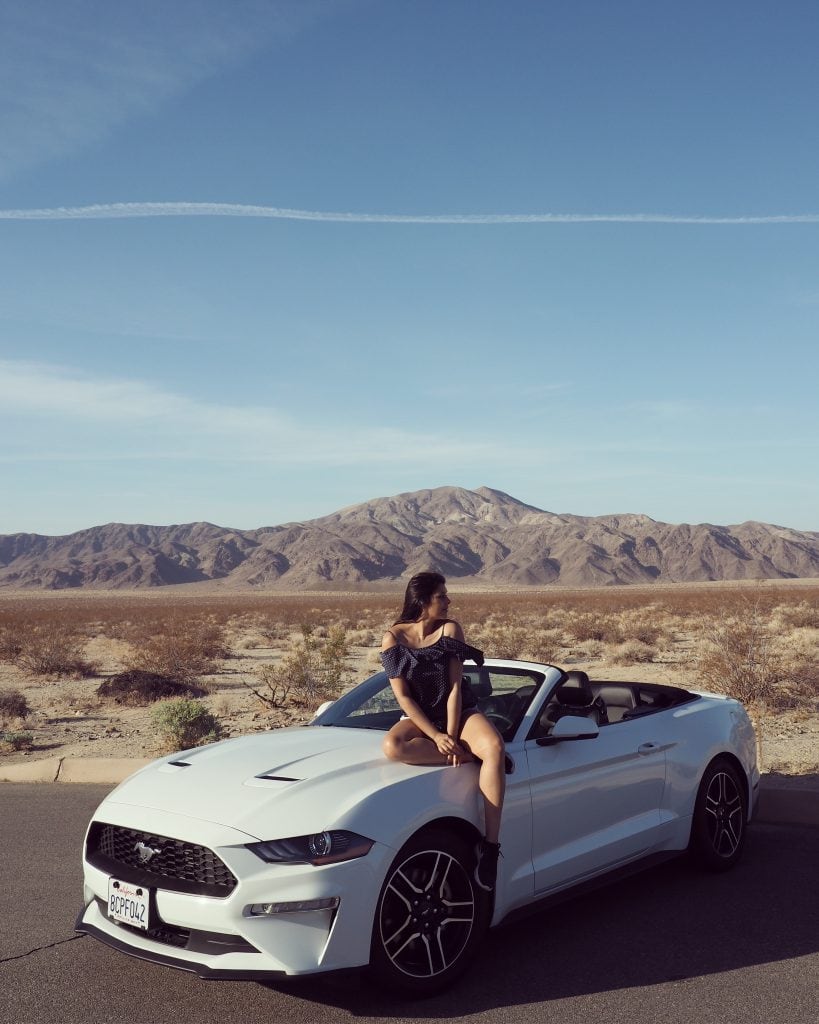 Bonnie rakhit palm springs joshua tree national park california road trip