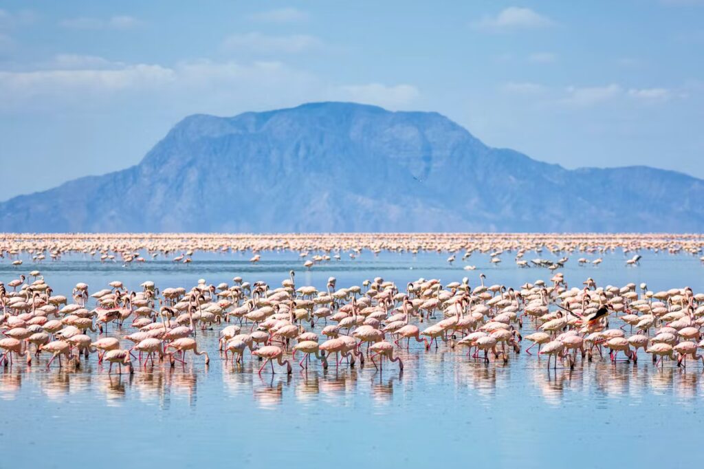 Top Romantic Destinations For A Luxurious Couples Getaway Tanzania